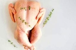 پشت پرده صف های مرغ