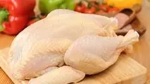 دلیل عمده گرانی اخیر مرغ/ خروج جوجه‌های یک روزه از مرزها