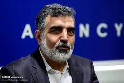 امسال ۴۰ تن کیک زرد تولید می‌کنیم