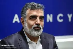 امسال ۴۰ تن کیک زرد تولید می‌کنیم