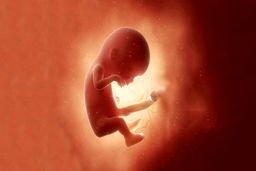 طرح جدید مجلس برای سقط جنین دارای مشکل جسمی