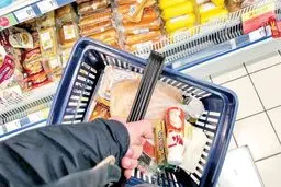 رالی تورمی ۵۳ قلم خوراکی