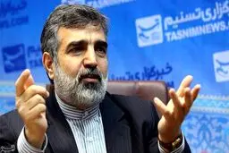 سخنگوی سازمان انرژی اتمی دچار حادثه شد