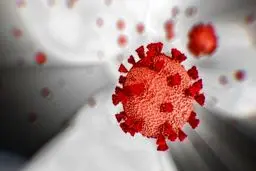 جنگ جهانی با کرونا