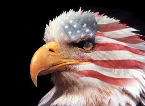 پنجه عقاب سریع‌ترین شکست تاریخ ارتش آمریکا