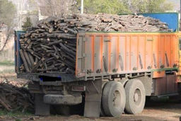 ۱۰۰ میلیارد تومان گردش مالی قاچاق چوب در ایران