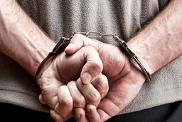 افزایش فالوور ترفندی برای کلاهبرداری اینستاگرامی