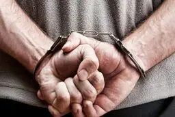 افزایش فالوور ترفندی برای کلاهبرداری اینستاگرامی