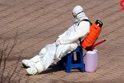 علت موفقیت برخی کشورها در مهار کرونا