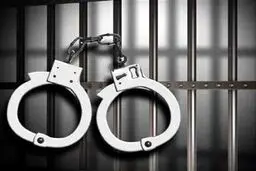 ماموران قلابی پایتخت دستگیر شدند/ کشف ۴۱ فقره کلاهبرداری و سرقت