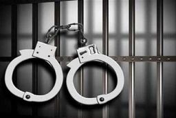 ماموران قلابی پایتخت دستگیر شدند/ کشف ۴۱ فقره کلاهبرداری و سرقت