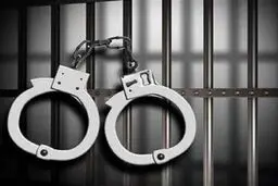 ماموران قلابی پایتخت دستگیر شدند/ کشف ۴۱ فقره کلاهبرداری و سرقت