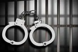 ماموران قلابی پایتخت دستگیر شدند/ کشف ۴۱ فقره کلاهبرداری و سرقت
