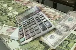 دولت یا بانک مرکزی؛ بزرگ‌ترین بدهکار کیست؟
