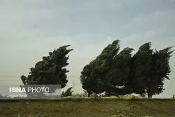 هشدار هواشناسی نسبت به وزش باد شدید و احتمال وقوع تگرگ در۲۰ استان