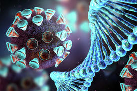 صدور حکم قضایی برای هفت تبعه هندی و دو پاکستانی