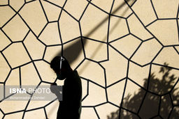 افزایش مصرف «تریاک» و «الکل» در جهان با شیوع کرونا