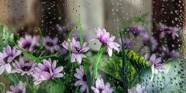 کاهش دما تا ۸ درجه در شرق و غرب کشور/ باران بهاری در اغلب شهرها ادامه دارد