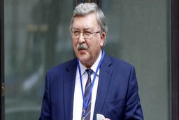 اولیانوف: پیشرفت در مذاکرات وین تا ضرب‌الاجل ۳۱ اردیبهشت دشوار است