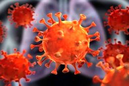 شیوه‌ای عجیب برای شناسایی ویروس کرونا در هلند