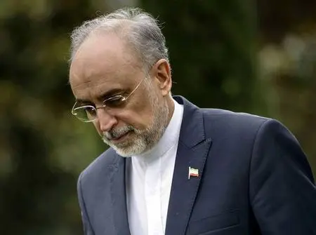 افزایش تماس‌ها و درخواست‌ها از علی اکبر صالحی برای ثبت‌نام در انتخابات ریاست‌جمهوری