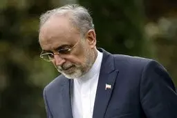 افزایش تماس‌ها و درخواست‌ها از علی اکبر صالحی برای ثبت‌نام در انتخابات ریاست‌جمهوری