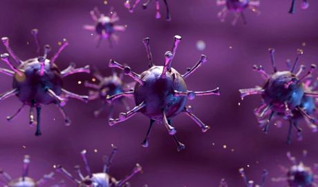 آمارهای ناشی از کرونا چقدر واقعی است؟/ واکسن‌های بدون استفاده کرونا!