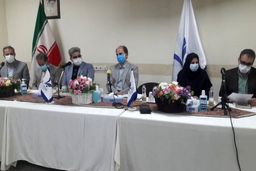 حدود یک هشتم زوج های ایرانی نابارور شده اند