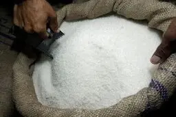 آخرین وضعیت قیمت شکر و روغن در بازار