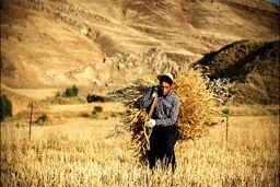 کمبود آب، مواد غذایی را گران می‌کند؟