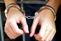 پلیس اینترپل کلاهبردار میلیاردی را تحویل ایران داد