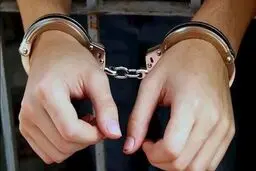 پلیس اینترپل کلاهبردار میلیاردی را تحویل ایران داد