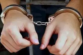 پلیس اینترپل کلاهبردار میلیاردی را تحویل ایران داد