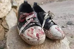 آه از جهل و خشونت