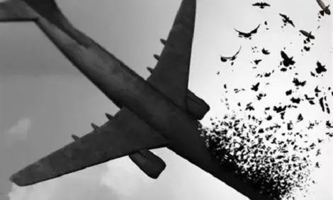 واکنش سخنگوی وزارت خارجه به رأی دادگاه کادانا درباره حادثه سقوط هواپیمای اوکراینی