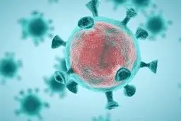 کرونا در آینده شبیه سرماخوردگی معمولی خواهد شد