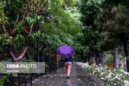 تداوم رگبار باران در ۲۳ استان کشور