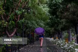 تداوم رگبار باران در ۲۳ استان کشور
