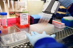 فروش تست منفی کرونا در آزمایشگاه‌های دولتی!