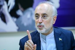 علی اکبر صالحی: دست ایران در مذاکرات وین از نظر فنی بسیار پر است