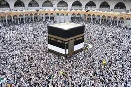 رییس سازمان حج: تکلیف حج روشن نیست/ برای اعزام زایر به عتبات آماده ایم