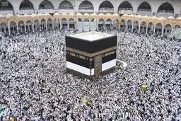 رییس سازمان حج: تکلیف حج روشن نیست/ برای اعزام زایر به عتبات آماده ایم