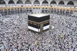 رییس سازمان حج: تکلیف حج روشن نیست/ برای اعزام زایر به عتبات آماده ایم