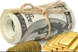 محدودیت واردات ارز برداشته شد/ معافیت مالیاتی واردات طلا و ارز