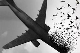 بریتانیا، کانادا، سوئد و اوکراین از جمهوری اسلامی درخواست خسارت کردند