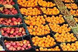 میوه ارزان می شود/ افزایش کرایه علت اصلی نوسان قیمت گوجه فرنگی
