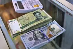 عجیب ترین راه‌های پول در آوردن که برخی افراد انجام می‌دهند