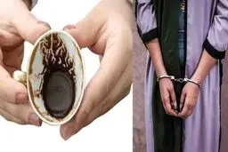 راز توطئه شوم علیه مردجوان تهرانی فاش شد؛ اجیر کردن آدم کش ۲۰۰ میلیون تومانی فقط به خاطر حرف فالگیر