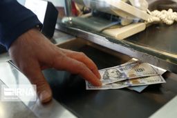 همتی: تا انتهای رقابت‌های انتخاباتی در صحنه می‌مانم