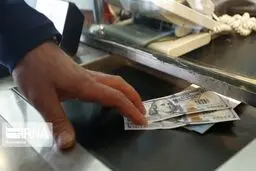 همتی: تا انتهای رقابت‌های انتخاباتی در صحنه می‌مانم